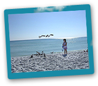 Destin Beaches