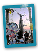 Emerald Shores Fishing